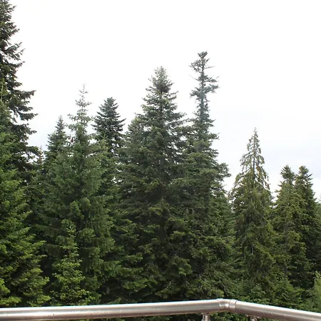 For 6 In Flora Main Building - Prime Location! * Borowec