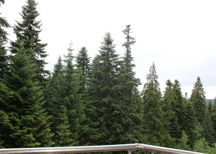 For 6 In Flora Main Building - Prime Location! * Borovets