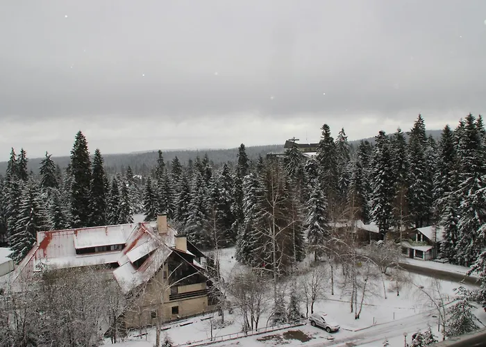 For 6 In Flora Main Building - Prime Location! *